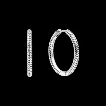 Brincos Argolas Moments – Inspiração Pandora