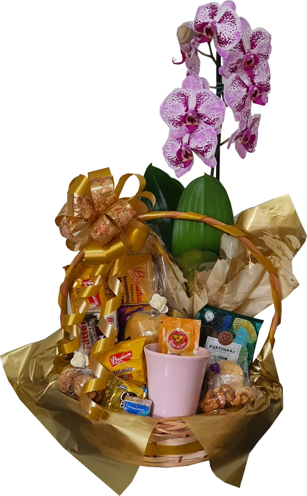 Cesta Florescer