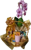Cesta Florescer