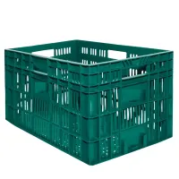 Caixa Plástica Gruplast Horti Frutti Verde  20kg 50 Litros 