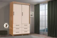 Roupeiro Búzios 2 portas e 6 gavetas 1,21 rud rack - Foto 3