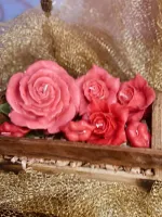 Caixote de rosas - Foto 6