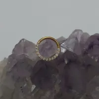 Argola Slim em Titânio PVD DOURADO  CRAVEJADA ZIRCONIA FRONTAL Clicker 1.2mm  TIT22 - Foto 4