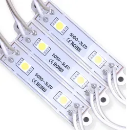 Modulo De 2 Led 12V 