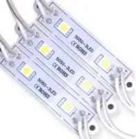 Modulo De 2 Led 12V 