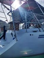 BB 35 PÉS – ANO 2000 - Foto 8