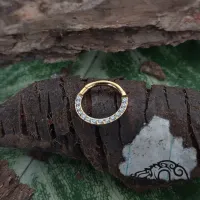 Argola Slim Clicker em TITÂNIO PVD GOLD com Pedras FRONTAL CRAVEJADAS 530 - Foto 2