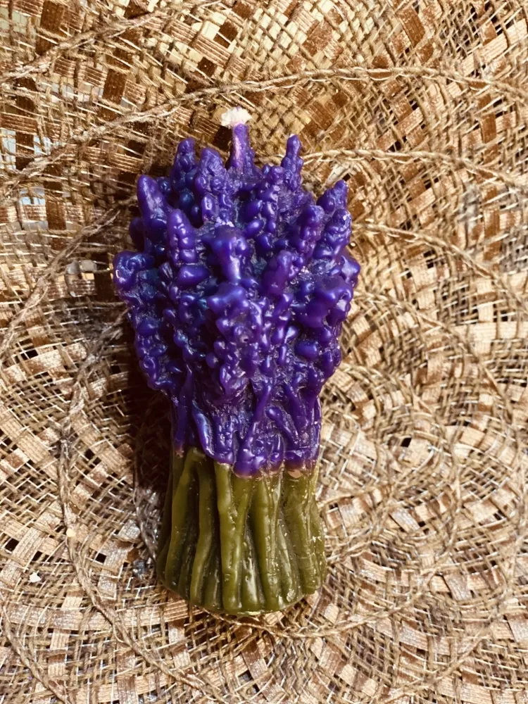 Galho lavanda Imagem