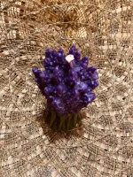Galho lavanda - Foto 2