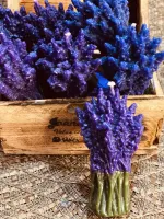 Galho lavanda - Foto 4