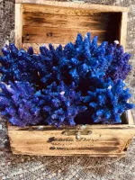 Galho lavanda - Foto 5