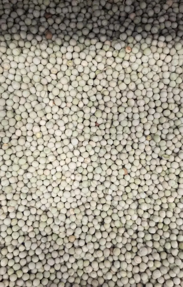 ERVILHA  CANADENSE INTEIRA VERDE 