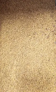 FENO GREGO SEMENTES 200g