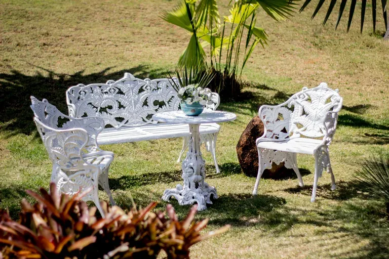 Conjunto Samambaia Completo Pequeno