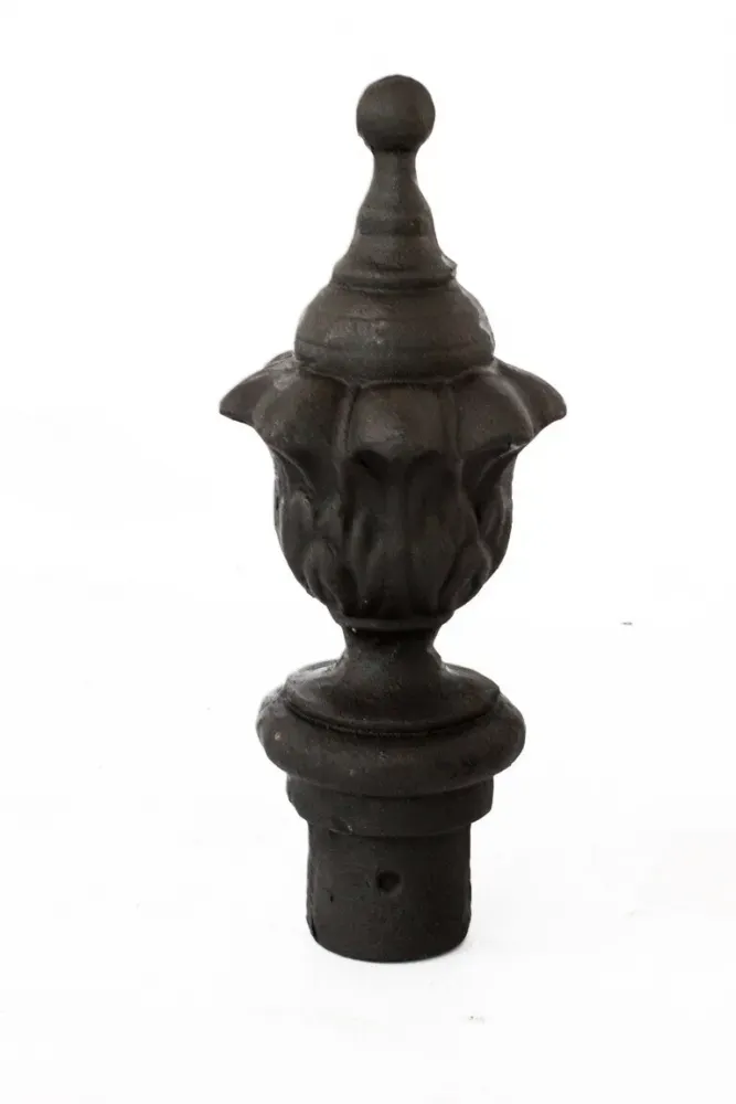 Pinha N 09 35X13 Oca Imagem