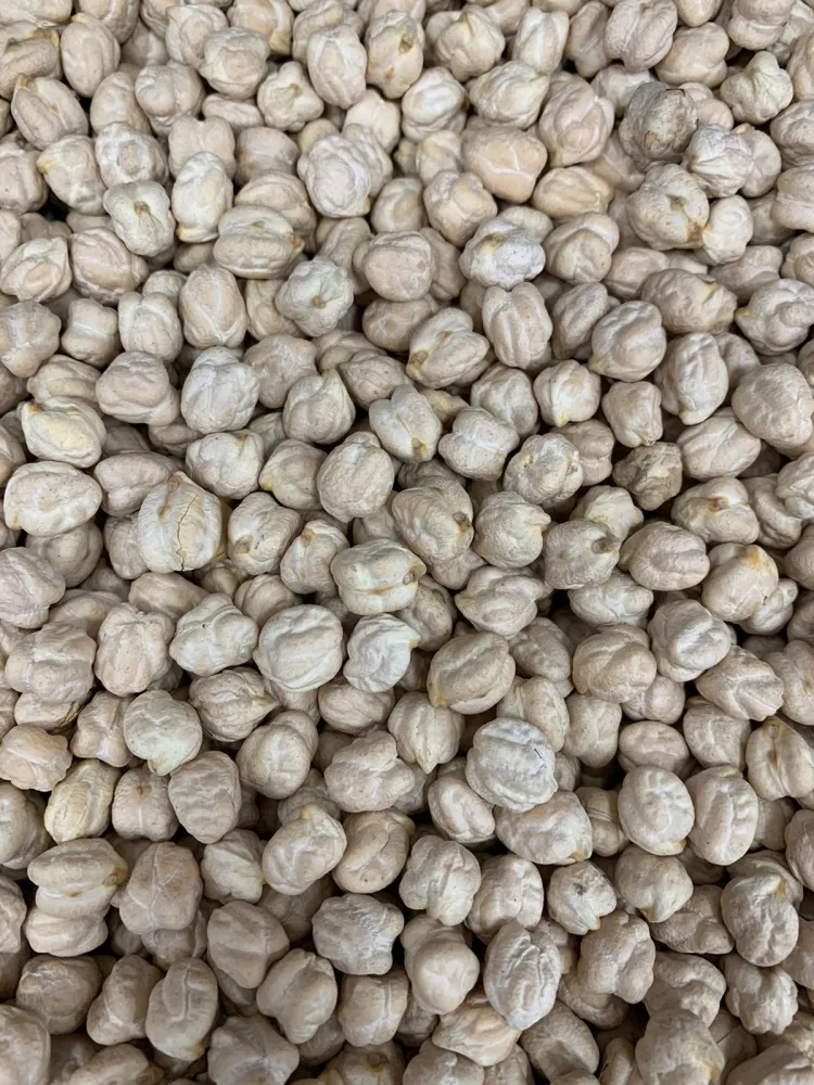 GRAO DE BICO Nº 12 MM   200g