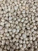 GRAO DE BICO Nº 12 MM   200g