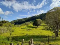 Vende-se Fazendinha na região de Santana dos Montes/MG. - Foto 3
