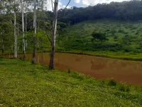 Vende-se Fazendinha na região de Santana dos Montes/MG. - Foto 4