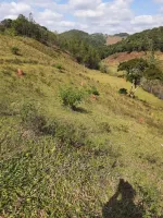 Vende-se Fazendinha na região de Santana dos Montes/MG. - Foto 5
