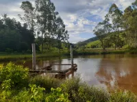 Vende-se Fazendinha na região de Santana dos Montes/MG. - Foto 6