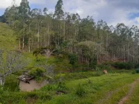 Vende-se Fazendinha na região de Santana dos Montes/MG. - Foto 10