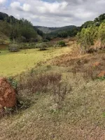 Vende-se Fazendinha na região de Santana dos Montes/MG. - Foto 13