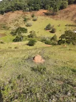 Vende-se Fazendinha na região de Santana dos Montes/MG. - Foto 15