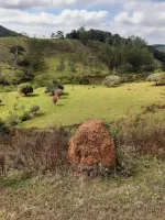 Vende-se Fazendinha na região de Santana dos Montes/MG. - Foto 19