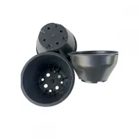 50 Mini Vasos Cuia 8 Pequena para Mini Suculentas Plantas - Preto - Foto 2