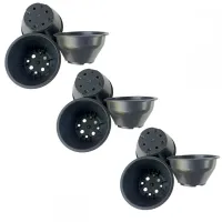 50 Mini Vasos Cuia 8 Pequena para Mini Suculentas Plantas - Preto - Foto 5