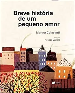 BREVE HISTORIA DE UM PEQUENO AMOR (PRODUTO USADO - MUITO BOM)