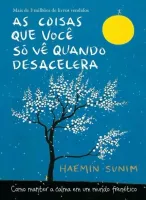 AS COISAS QUE VOCE SO VE QUANDO DESACELERA: COMO MANTER A CALMA EM UM MUNDO FRENETICO (PRODUTO USADO - COMO NOVO)