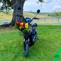 Bicicleta Elétrica Scooter ecosmart 350w 48v 2026 - Foto 3