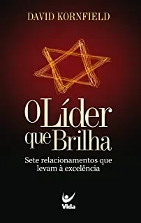 O LIDER QUE BRILHA SETE RELACIONAMENTOS QUE LEVAM A EXCELENCIA (PRODUTO USADO - BOM)