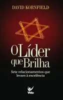 O LIDER QUE BRILHA SETE RELACIONAMENTOS QUE LEVAM A EXCELENCIA (PRODUTO USADO - BOM)