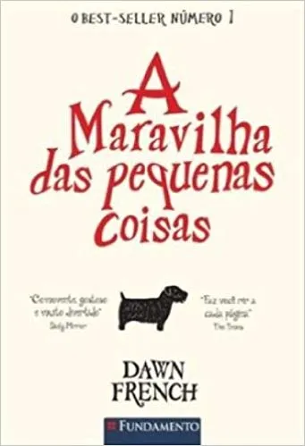 A MARAVILHA DAS PEQUENAS COISAS (PRODUTO USADO - MUITO BOM)