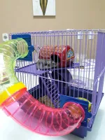 Gaiola Bragança Pop Lilas Para Hamster - Foto 3