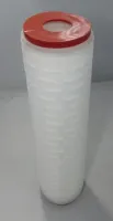 Refil Plissado Microbiológico Absoluto 10x2,5