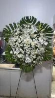 Coroa de Flores  - Foto 9