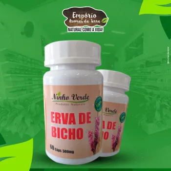 Erva de Bicho