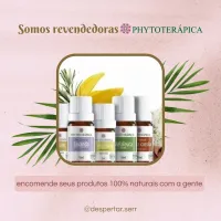 Produtos Phytoterápica (Encomenda) | Óleos Essenciais 100% Puros
