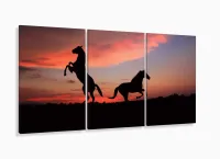 Quadro 2 Cavalos Por do Sol 120x60 3 peças em Tecido com moldura filete - Foto 5