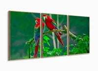 Quadro Decorativo 120x60 Sala Quarto Casal Araras Vermelhas com moldura filete