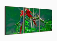 Quadro Decorativo 120x60 Sala Quarto Casal Araras Vermelhas com moldura filete - Foto 2
