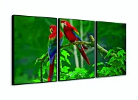 Quadro Decorativo 120x60 Sala Quarto Casal Araras Vermelhas com moldura filete - Foto 3