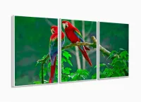 Quadro Decorativo 120x60 Sala Quarto Casal Araras Vermelhas com moldura filete - Foto 4