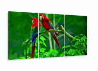 Quadro Decorativo 120x60 Sala Quarto Casal Araras Vermelhas com moldura filete - Foto 5