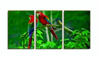 Quadro Decorativo 120x60 Sala Quarto Casal Araras Vermelhas com moldura filete - Foto 6
