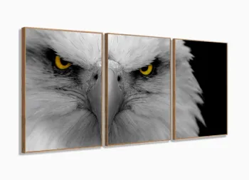 Quadro Decorativo Aguia 120x60 3 peças  em tecido com moldura filete